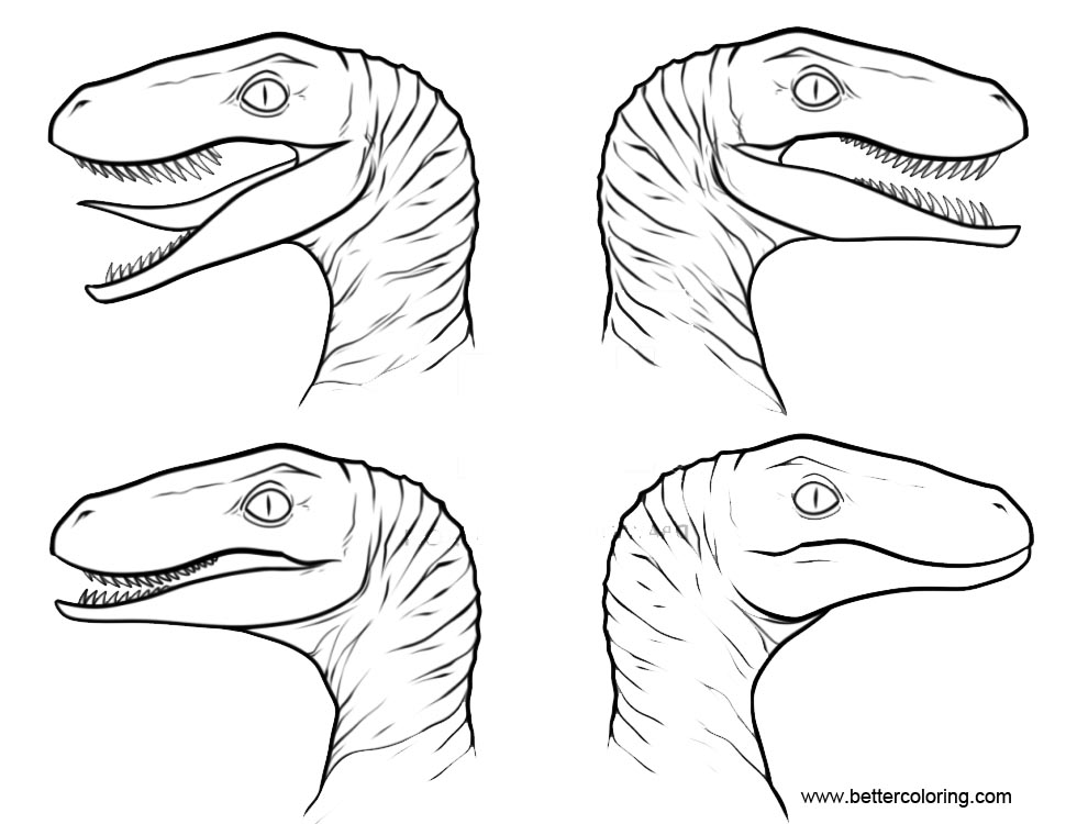 Coloring Pages Velociraptor Blue Jurassic Coloring Pages