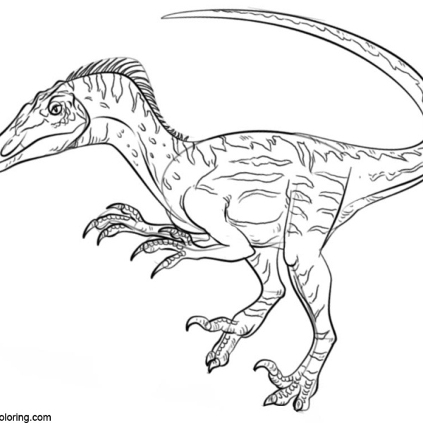 Jurassic World Fallen Kingdom Coloring Pages - Free Printable Coloring ...
