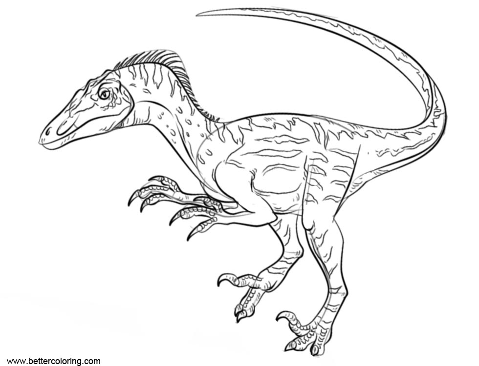 Jurassic World Raptor A Lego Guy Coloring Page Pages Sketch Coloring Page