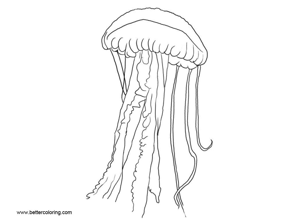 Free Sea Jellyfish Coloring Pages printable