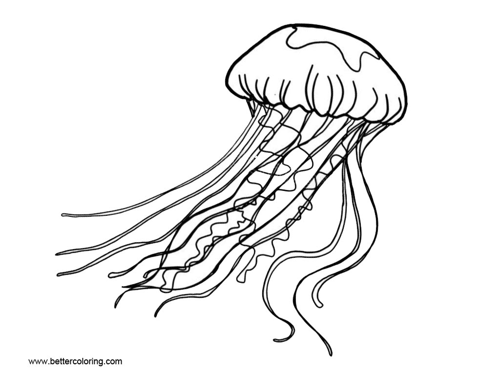 Free Simple Jellyfish Coloring Pages printable
