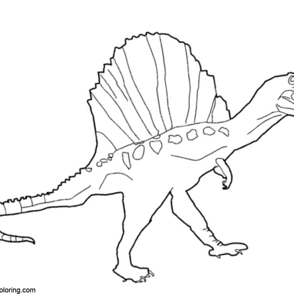 Spinosaurus Coloring Pages Realistic Drawing
