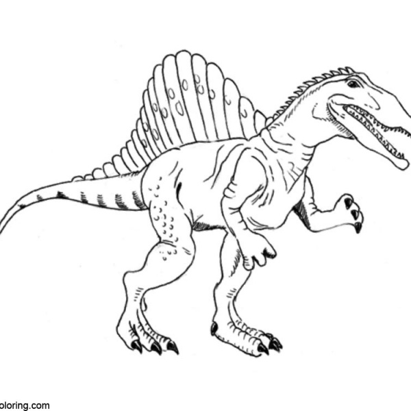 Spinosaurus Coloring Pages Realistic Drawing - Free Printable Coloring