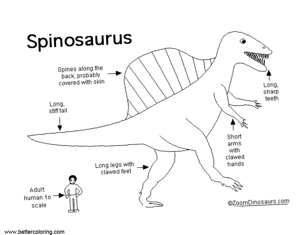 Free Spinosaurus Coloring Pages Information printable