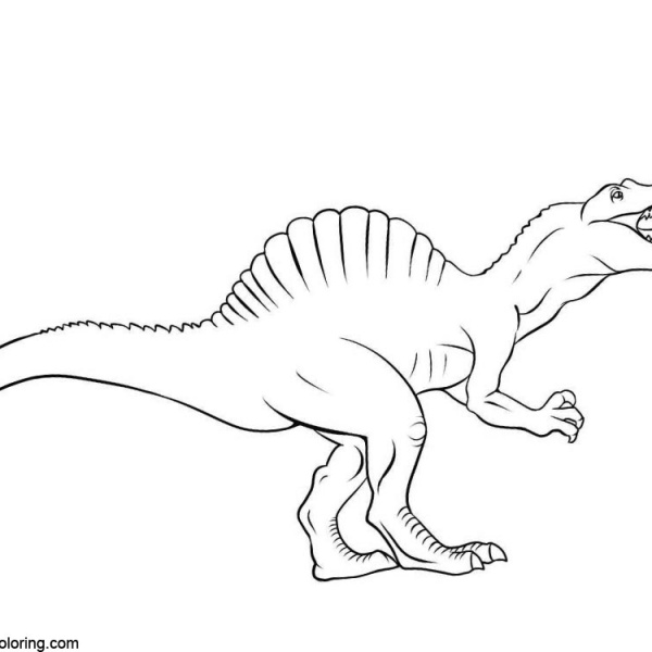 Spinosaurus Coloring Pages Realistic Drawing Free Printable Coloring
