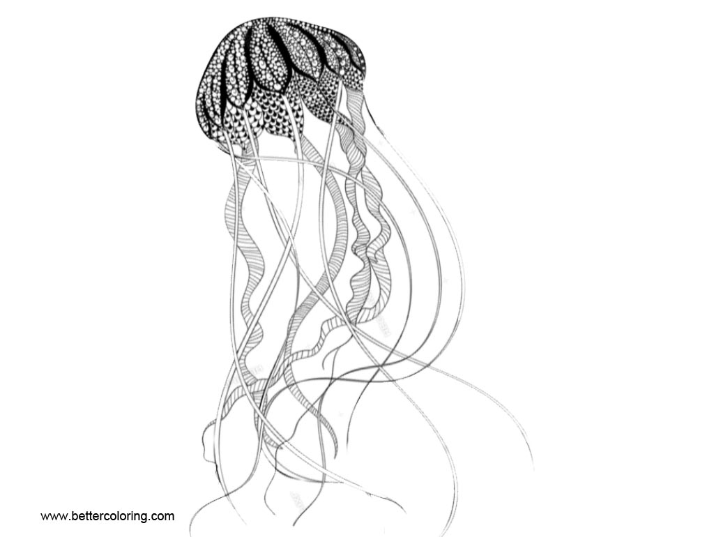Free Zentangle Jellyfish Coloring Pages printable
