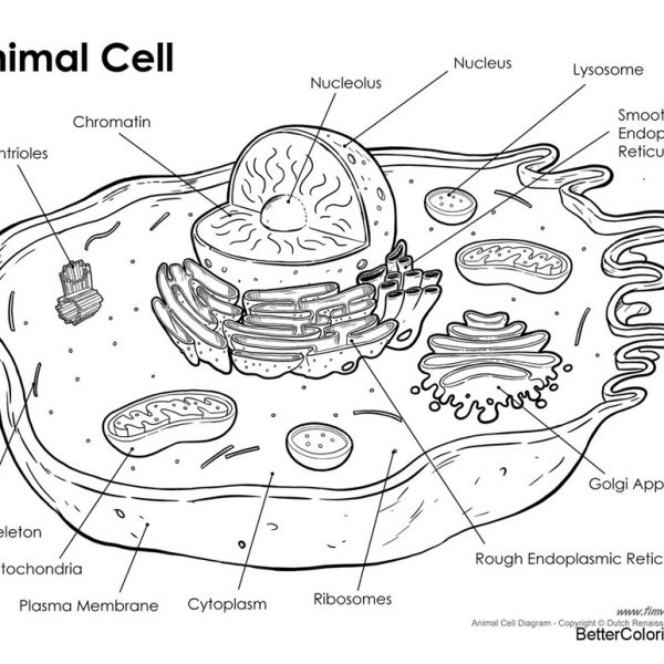 Printable Cell Coloring Page