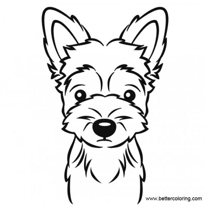 Free Yorkie Coloring Pages Black and White printable