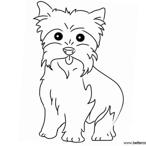 yorkie coloring pages line drawing free printable coloring pages