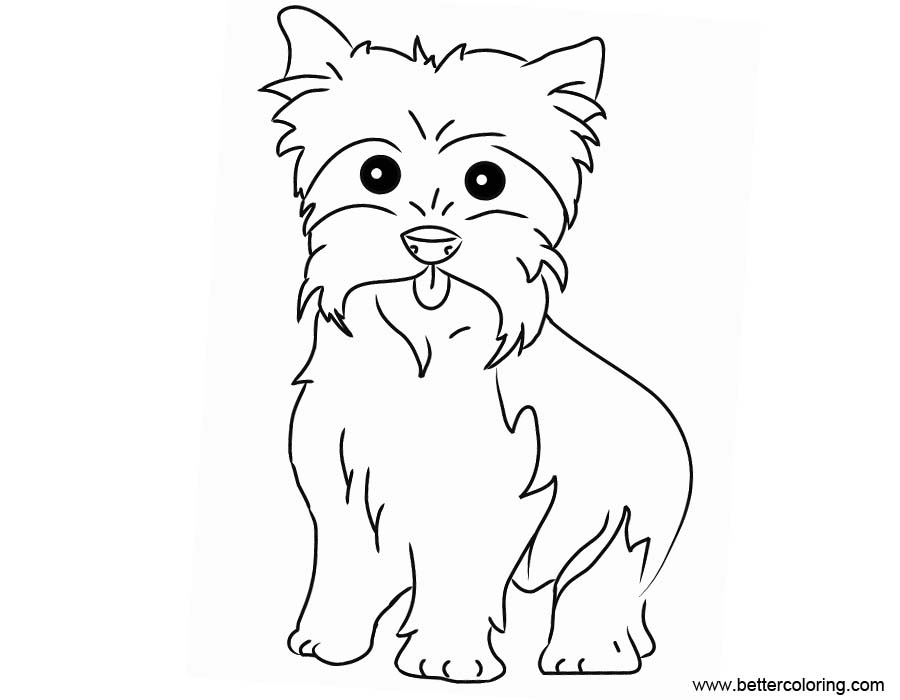 Free Yorkie Coloring Pages Easy Drawing printable