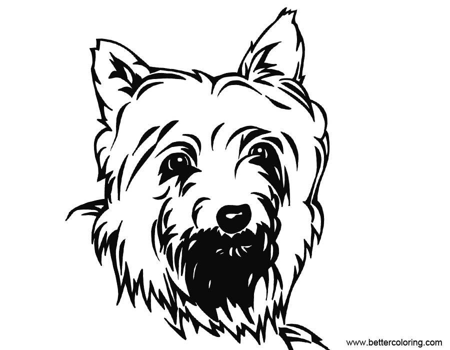 Free Yorkie Coloring Pages Inks Drawing printable