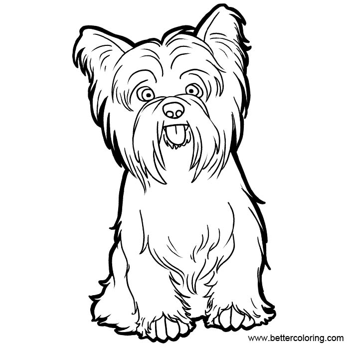 Free Yorkie Coloring Pages Line Art printable