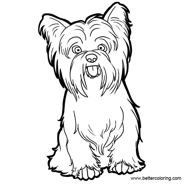 Printable Yorkie Coloring Pages Printable Word Searches Printable Yorkie Coloring Pages Printable Word Searches