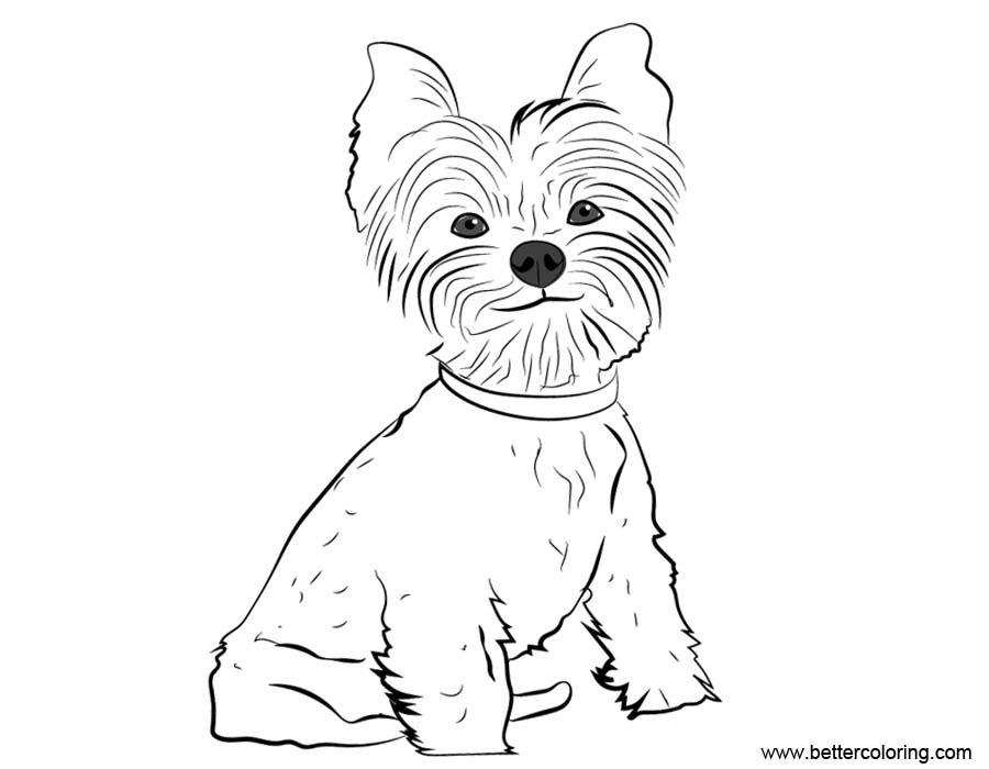 Free Yorkie Coloring Pages Line Drawing printable