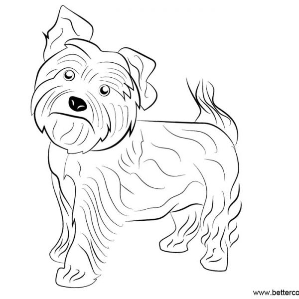 Yorkie Coloring Pages : Dog Yorkshire Yorkie Drawing Pastel Portrait ...