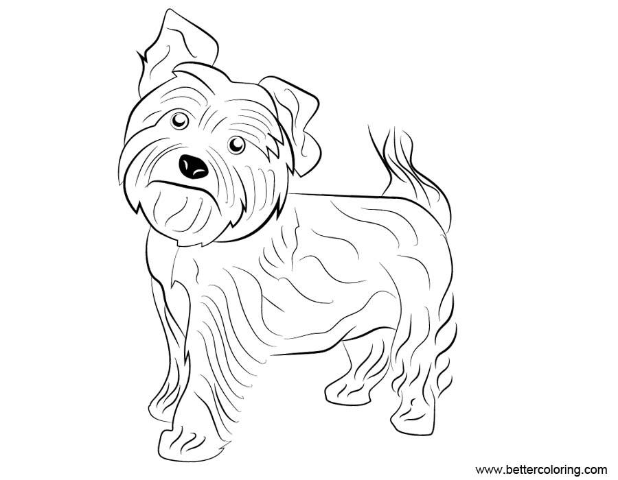 Small Dog Coloring Pages 7