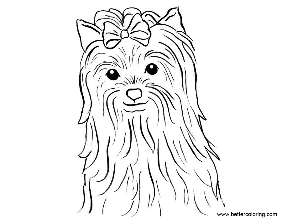 Yorkshire Terrier Coloring Page Art Starts French Bulldog Painting 