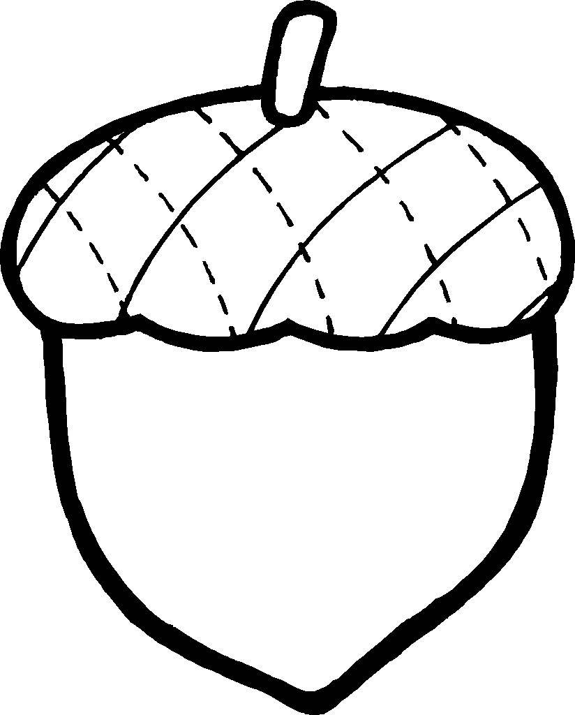 Free Acorn Coloring Pages Black and White printable
