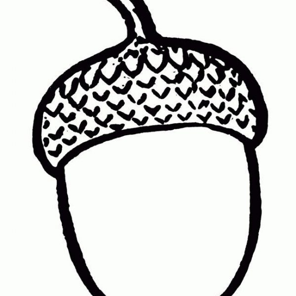 Acorn Coloring Pages and Squirrel - Free Printable Coloring Pages