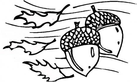 Free Acorn Coloring Pages Falling Down printable