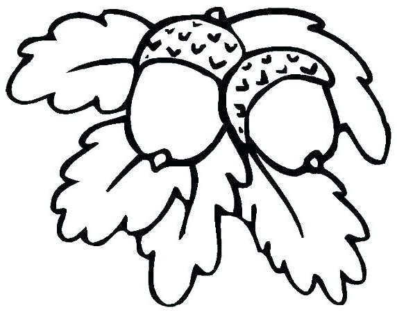 Download Acorn Coloring Pages and Leaves - Free Printable Coloring Pages