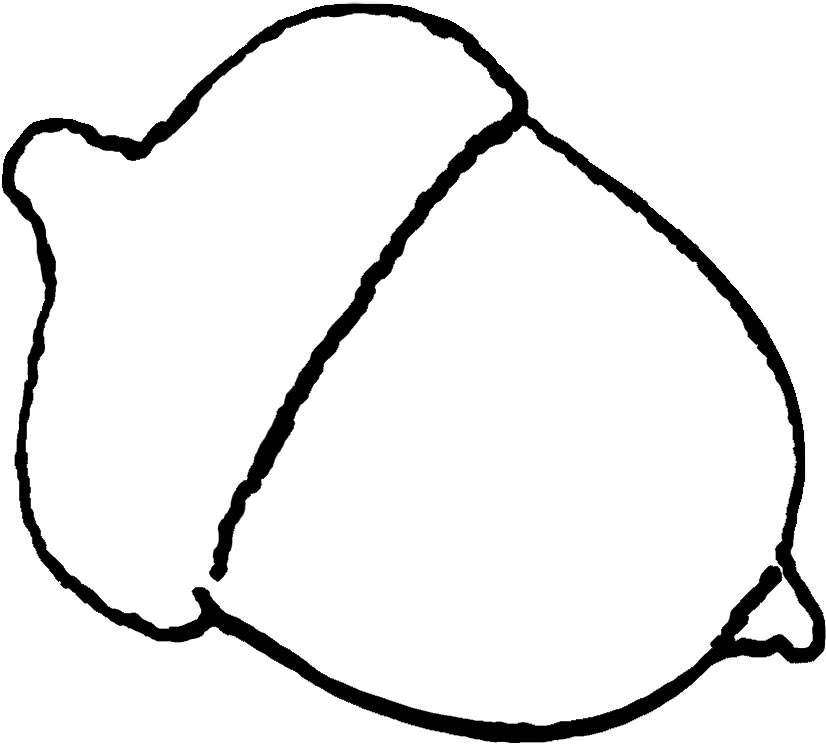Download Acorn Coloring Pages for Preschool - Free Printable Coloring Pages