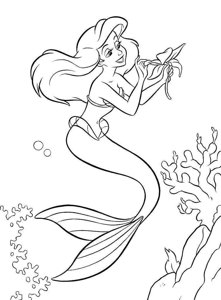Free Ariel Coloring Pages Simple Hand Drawing Disney Princess Character 2811 printable