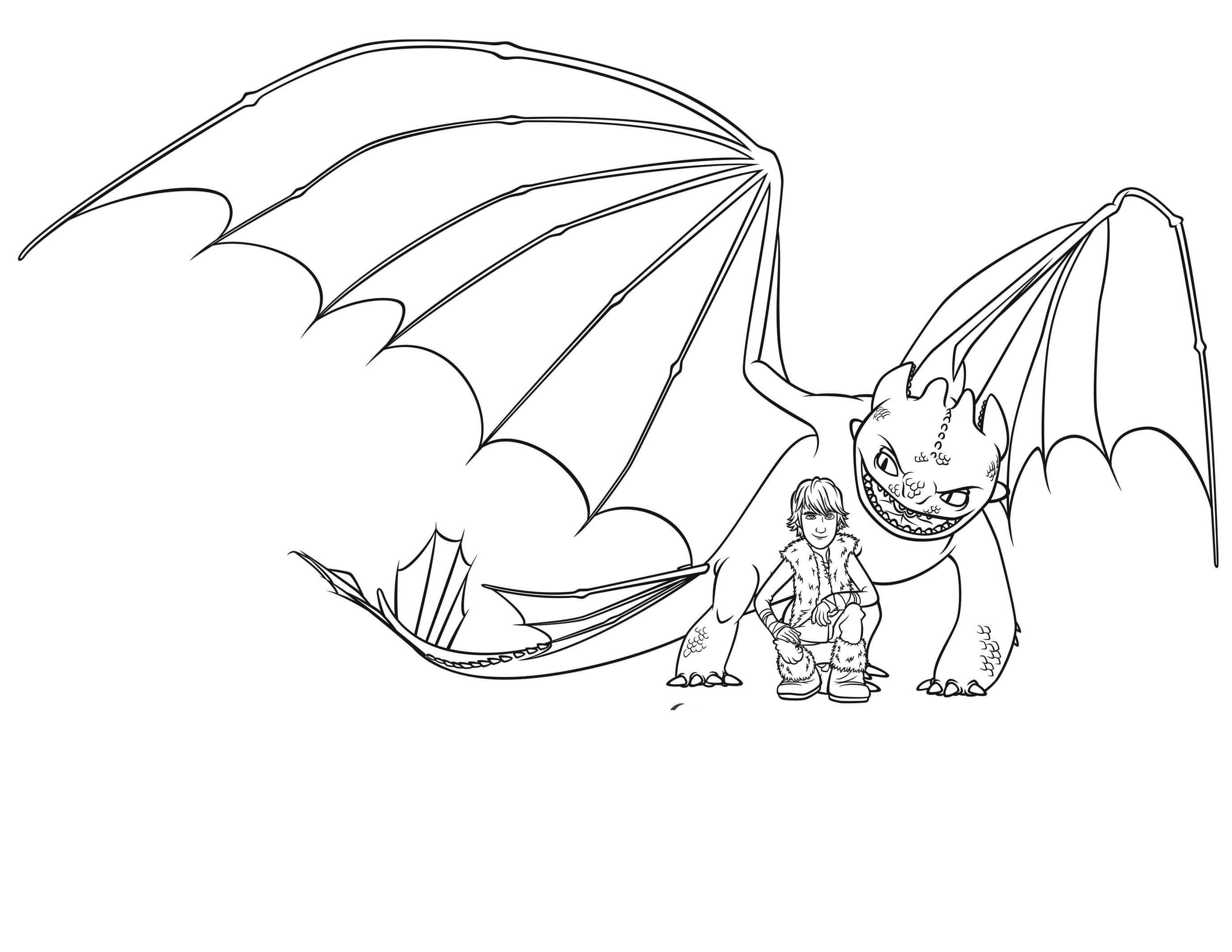 toothless dragon coloring pages cute