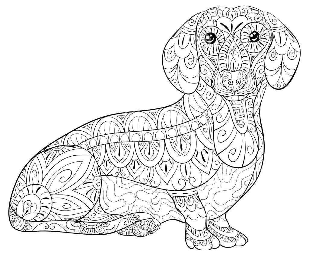 7000 Top Coloring Pages For Adults Weird Download Free Images