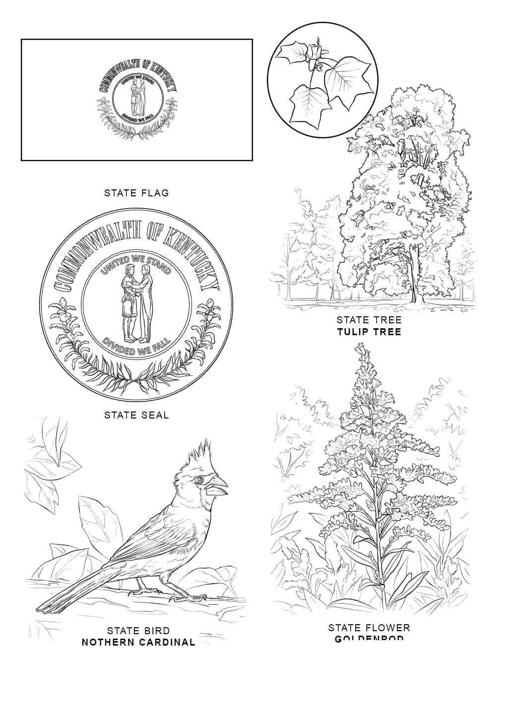 Latest Florida Flag Coloring Page - cool wallpaper