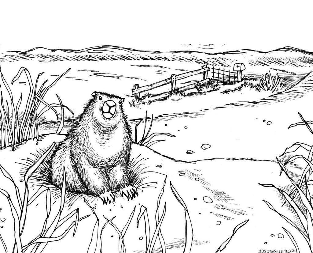Groundhog Working day Coloring Internet pages Actions Innumerable Coloring E book photo regarding Groundhog Day Coloring Pages Free Printable called Groundhog Working day Coloring Web pages Routines Countless Coloring Reserve