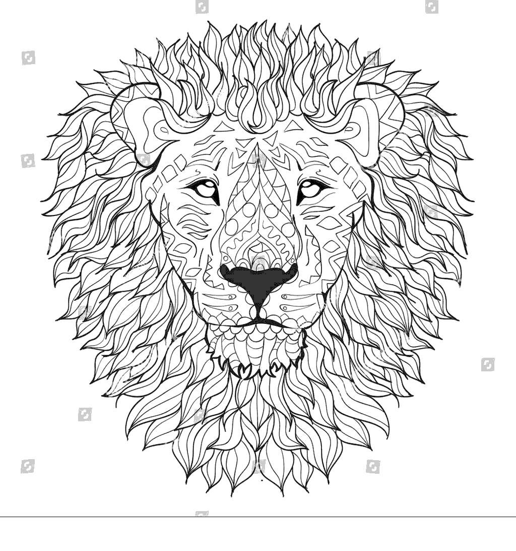 Lion Head Coloring Sheet