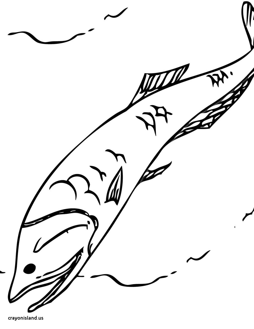 Viperfish Coloring Page