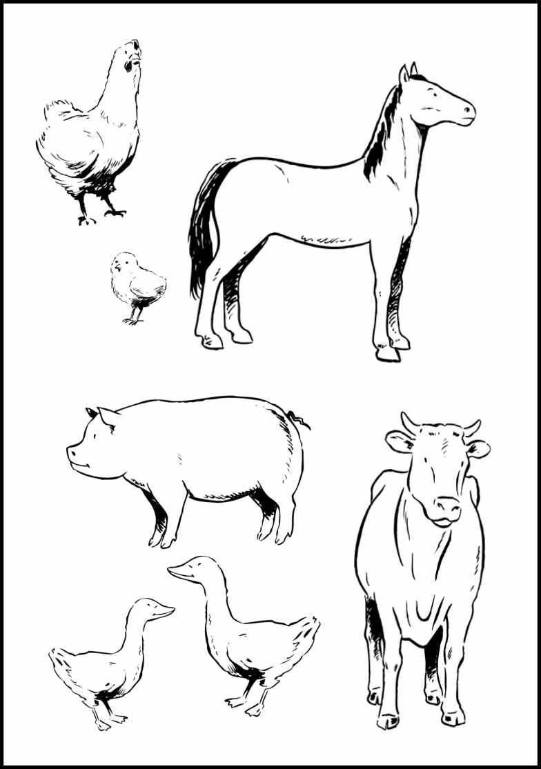 76 Coloring Pages Domestic Animals , Free HD Download 76 Coloring Pages Domestic Animals , Free HD Download