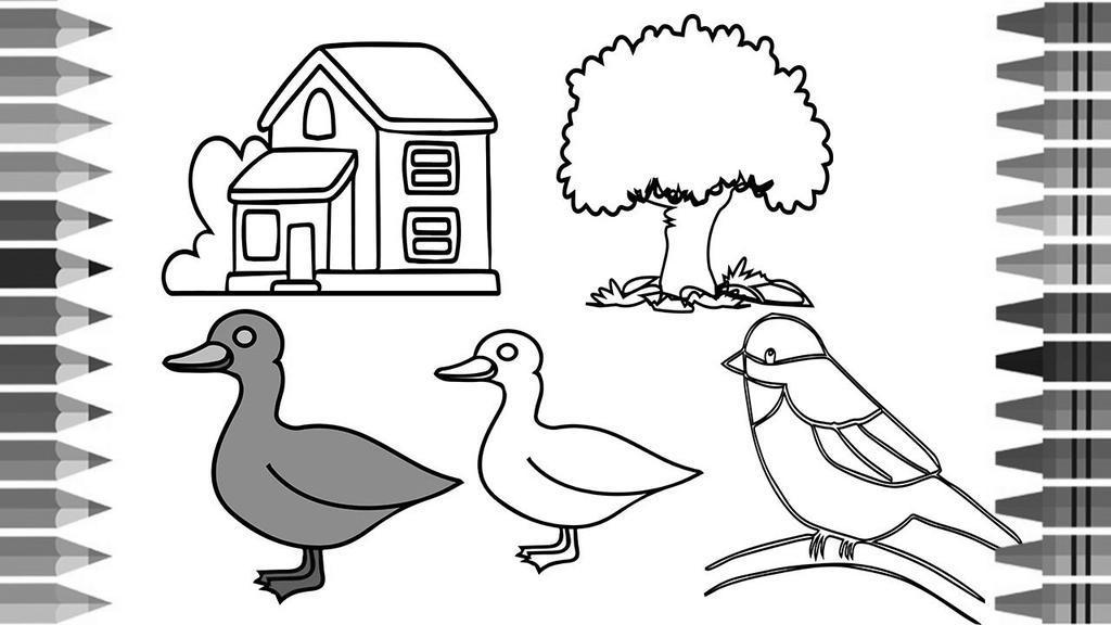 550 Top Free Coloring Pages Domestic Animals , Free HD Download 550 Top Free Coloring Pages Domestic Animals , Free HD Download