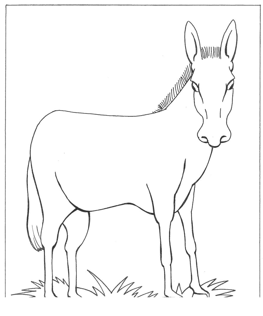 550 Top Free Coloring Pages Domestic Animals , Free HD Download 550 Top Free Coloring Pages Domestic Animals , Free HD Download