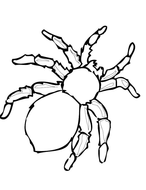 Free Iron Spider Coloring Pages Black Widow Spider printable