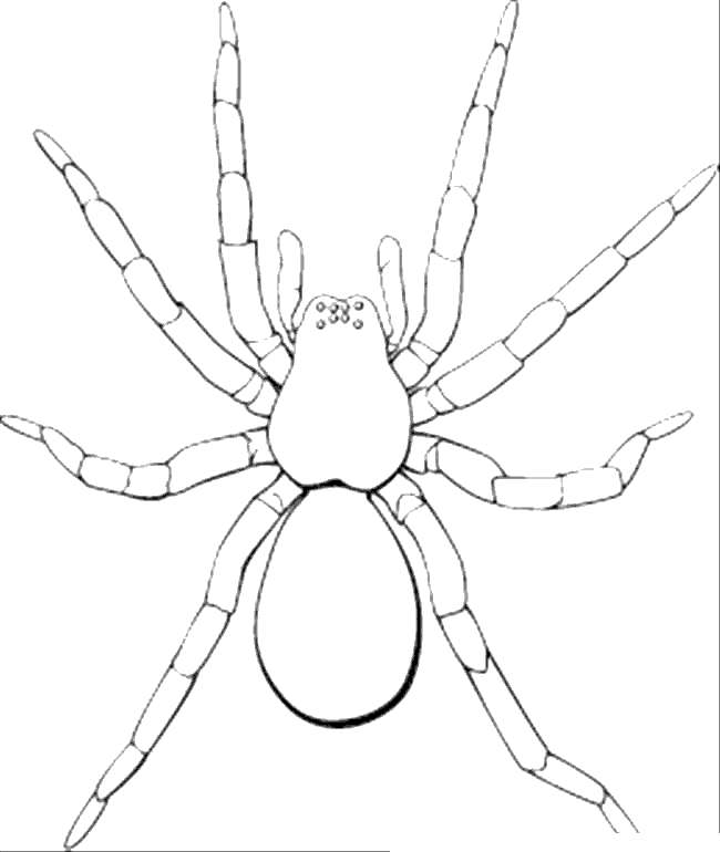 Free Iron Spider Coloring Pages Medium Size printable