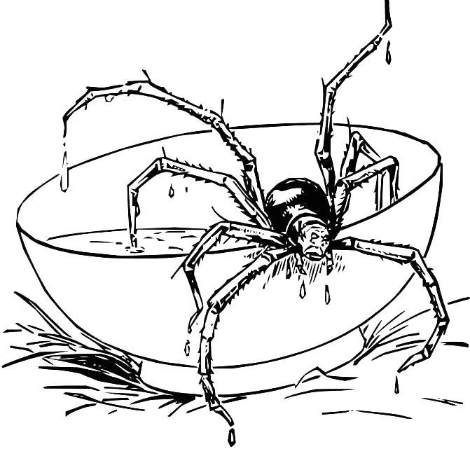 Iron Spider Coloring Pages Realistic Spider - Free Printable Coloring Pages