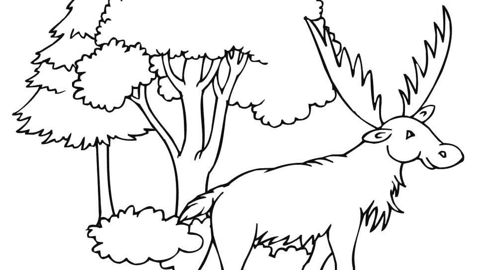 Free Moose Coloring Pages Moose Under The Tree printable