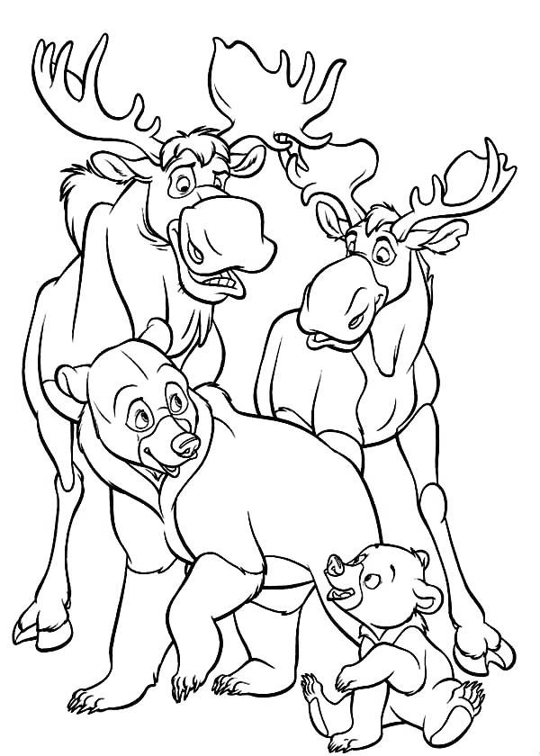Free Moose Coloring Pages Mooses and Bears printable