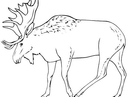 Free Moose Coloring Pages Side View printable