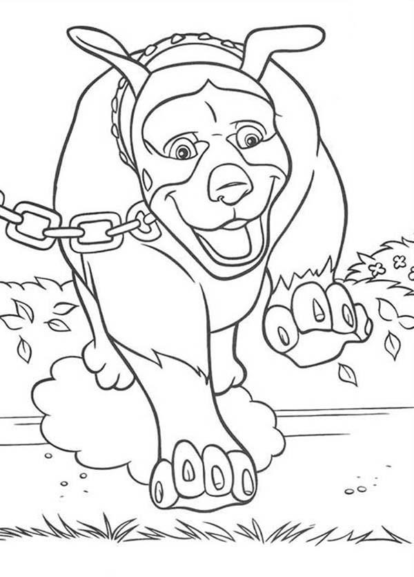 Free Over The Hedge Coloring Pages Dog Line Drawing printable