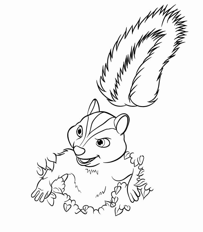 Free Over The Hedge Coloring Pages Squirrel Hammy printable