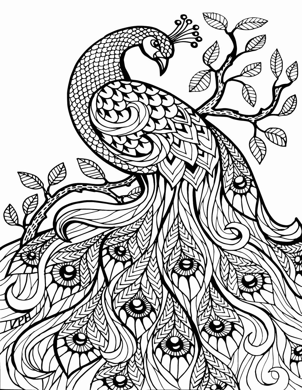 Peacock Aesthetic Coloring Pages Free Printable Coloring Pages