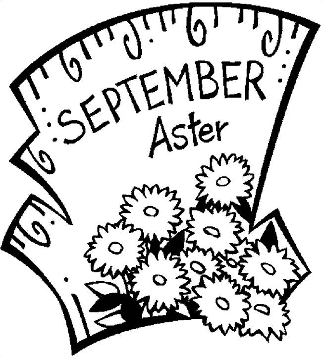 Free September Aster Coloring Pages printable