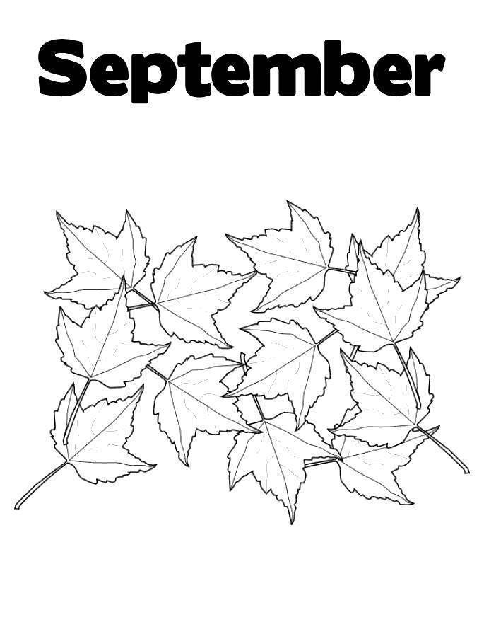 Free September Coloring Pages Maple Leaves printable