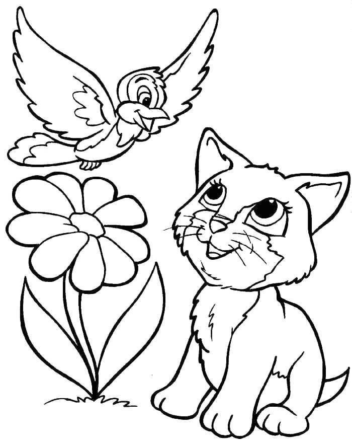Free Bird and Black Cat Coloring Pages printable
