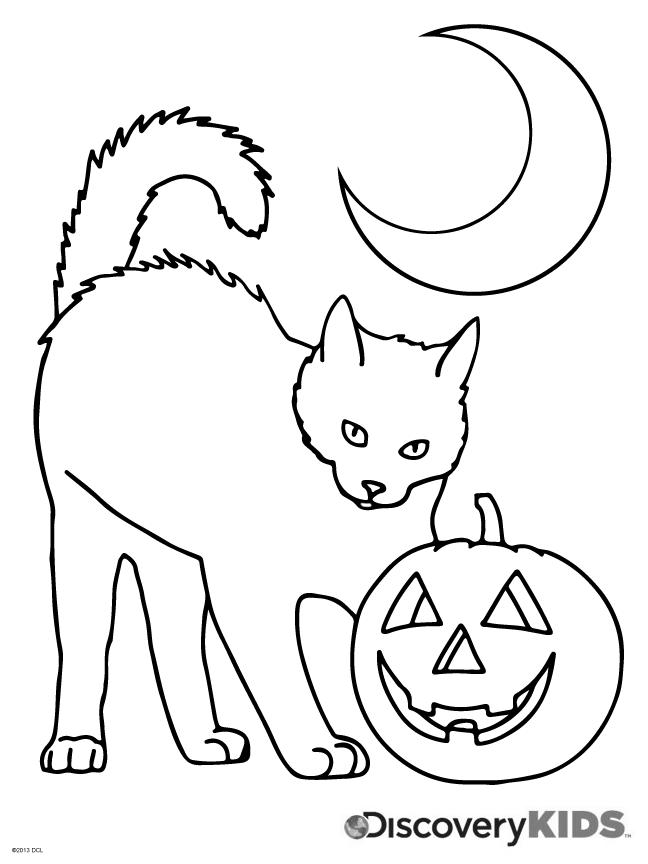 Free Black Cat Under Moon Coloring Pages printable
