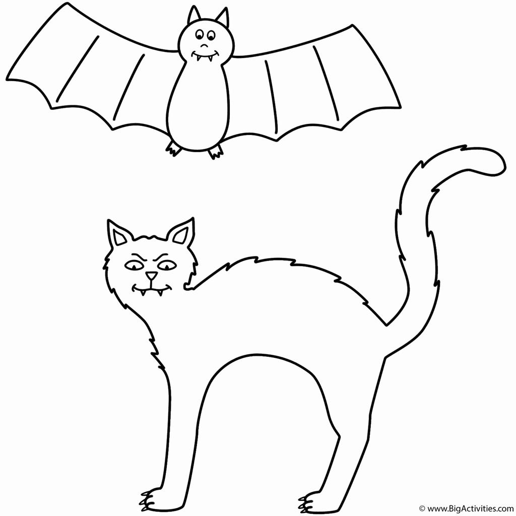 Black Cat and Flying Bat Coloring Pages - Free Printable Coloring Pages